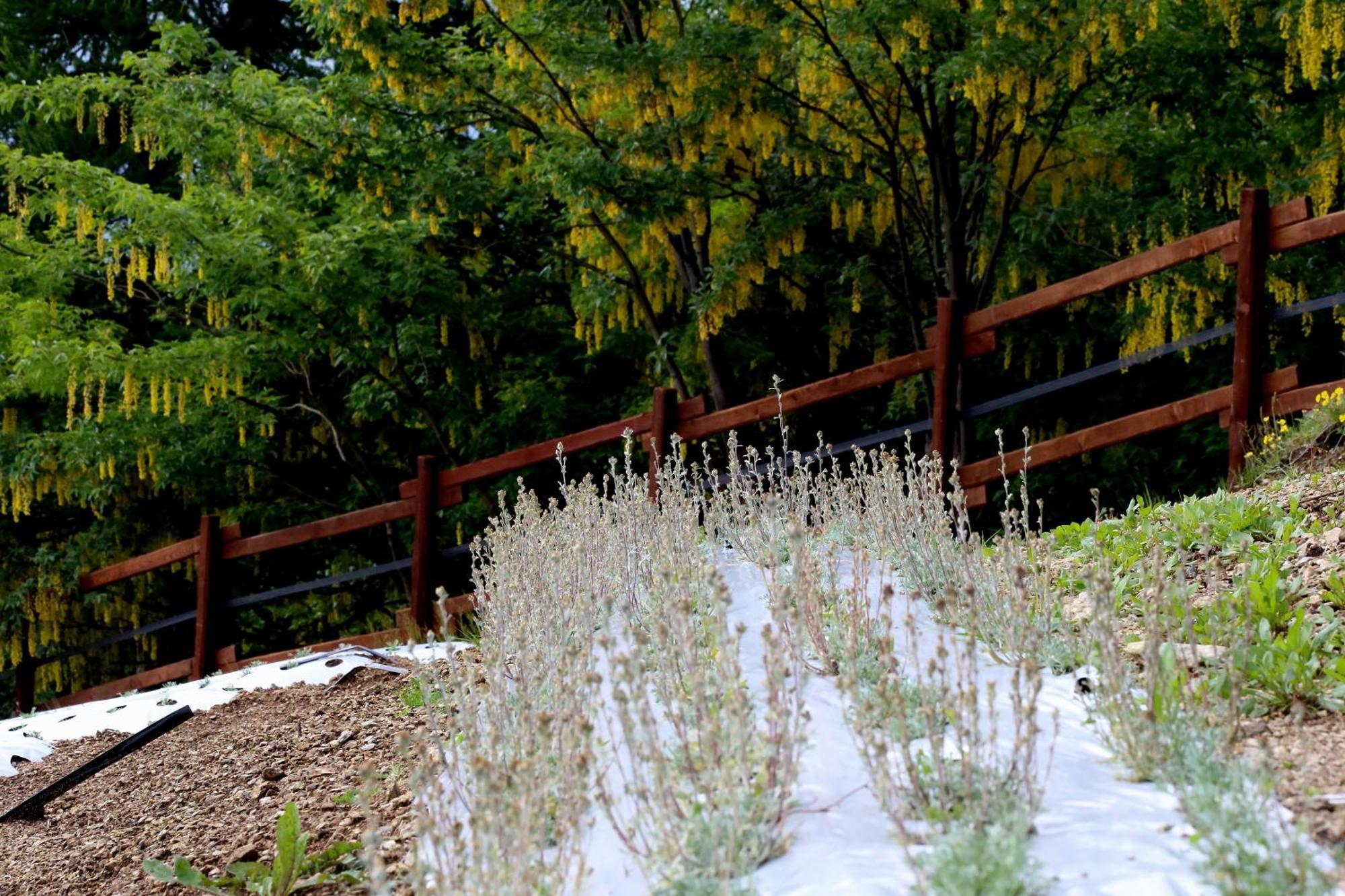 Agriturismo A Nostro Mizoun Ostana Exteriér fotografie